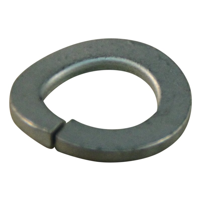 gewölbter Federring M12mm Elvz.