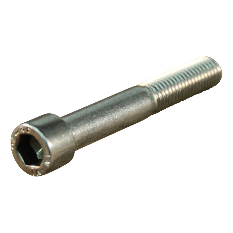 hexagonal socket screw M10x80mm SS AISI 304