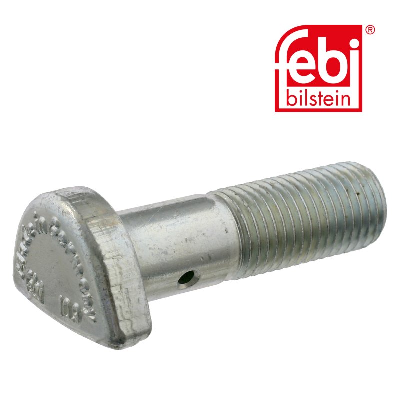 Cup Head Bolt
