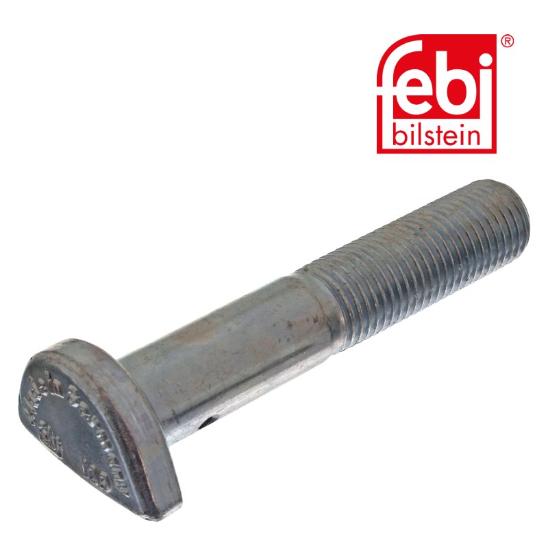 Cup Head Bolt