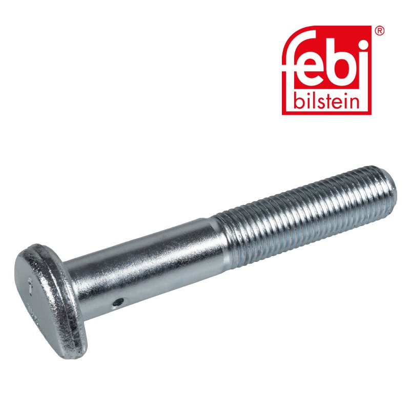 Cup Head Bolt