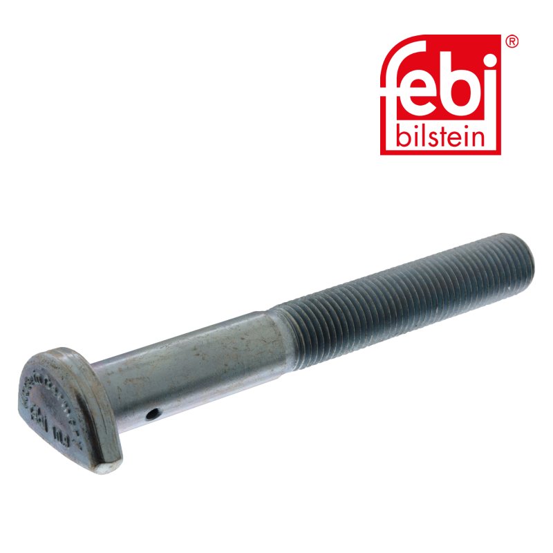 Cup Head Bolt