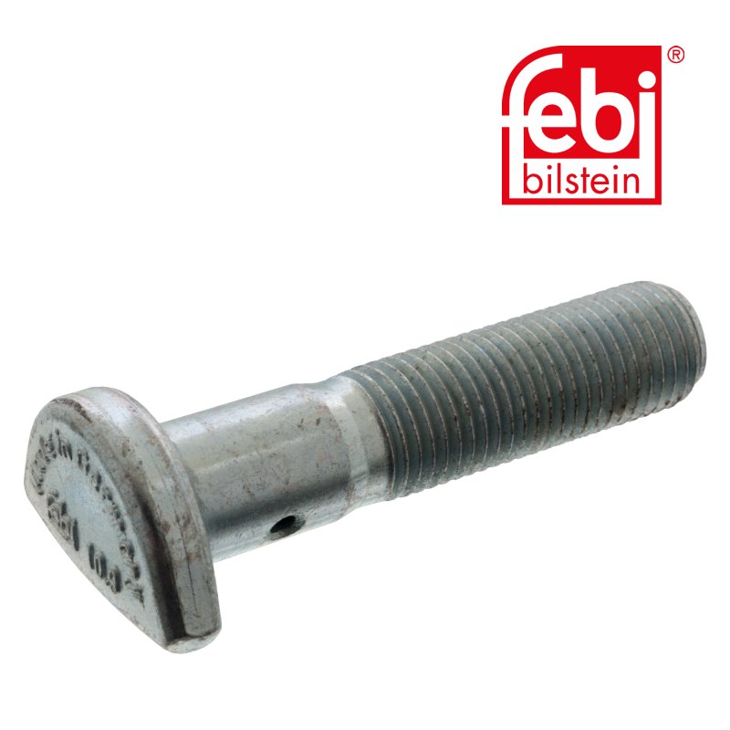 Cup Head Bolt