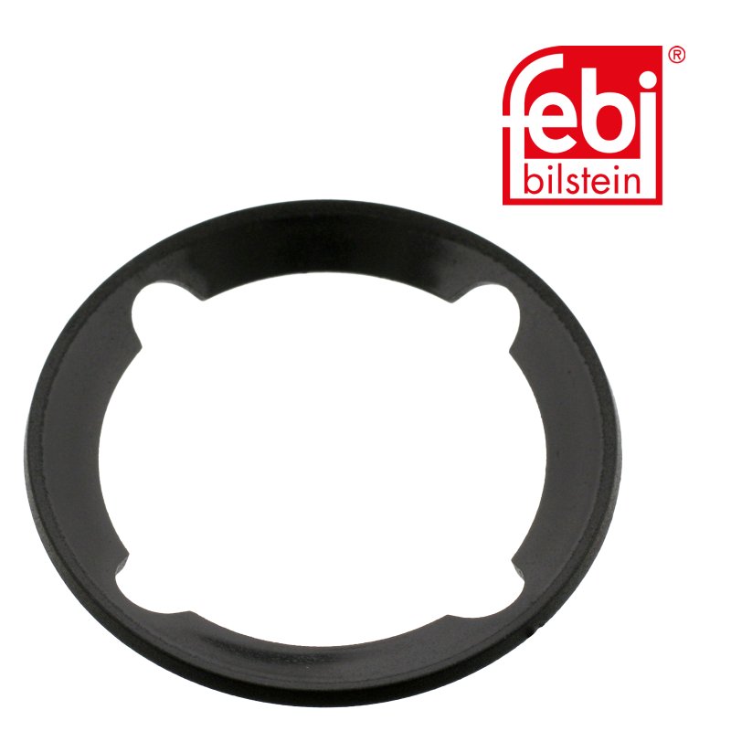Sealing Ring