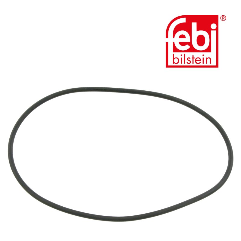 Sealing Ring