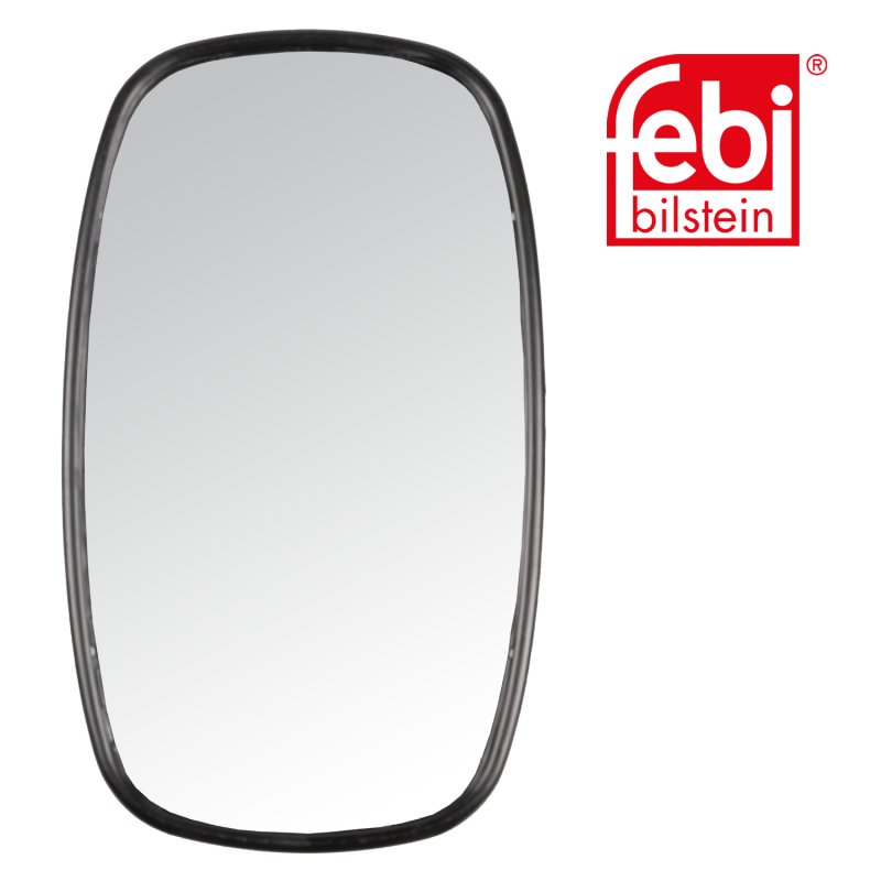 Main Rear View Mirror