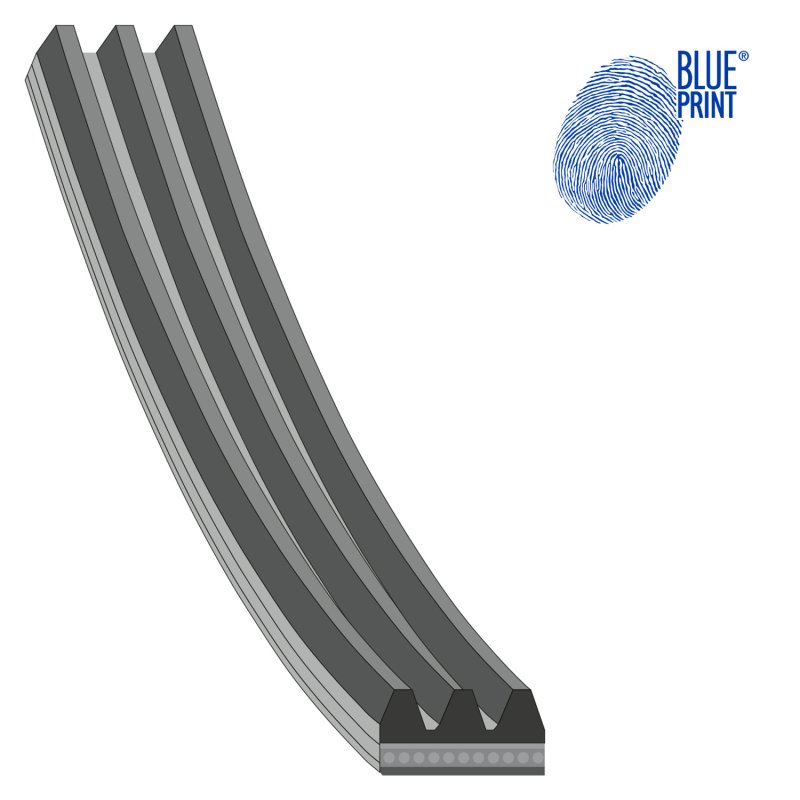 Auxiliary Belt