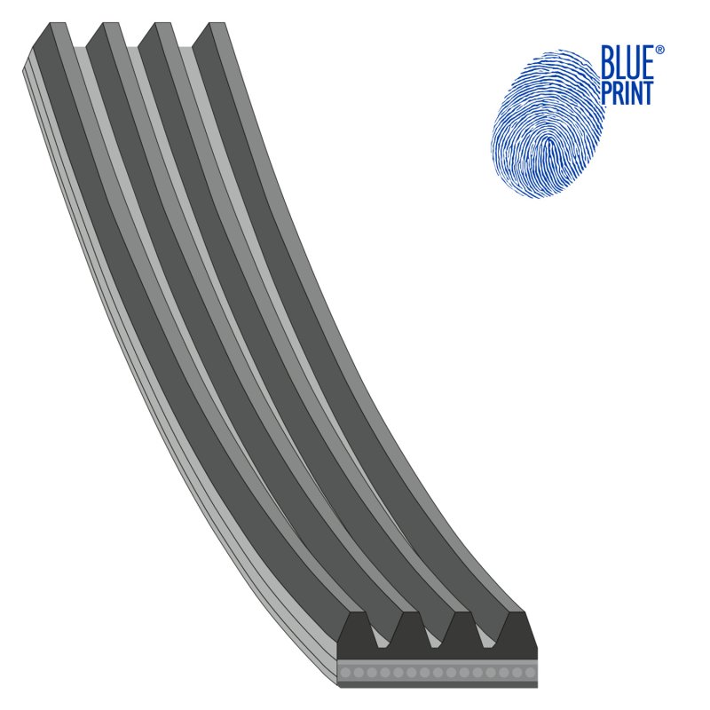 Auxiliary Belt