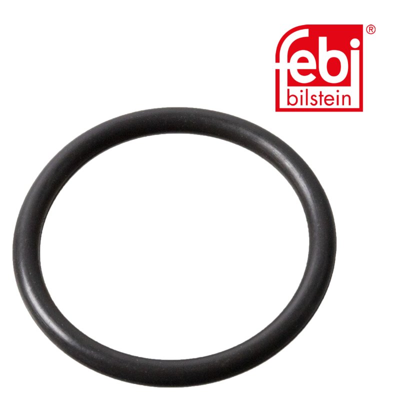 Sealing Ring