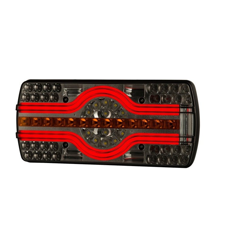 Feu arrière LED néon avec éclaireur de plaque | 12-24V | 2.0m cable