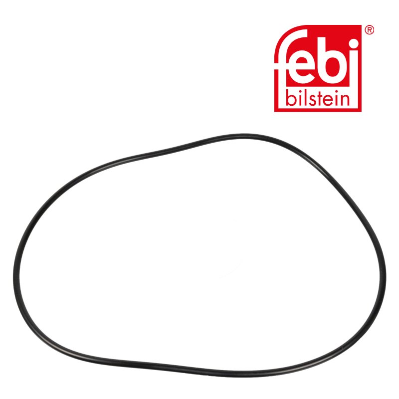 Sealing Ring for wheel hub