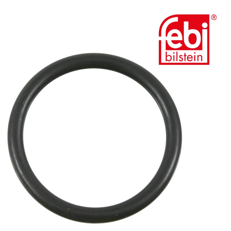 Sealing Ring for king pin