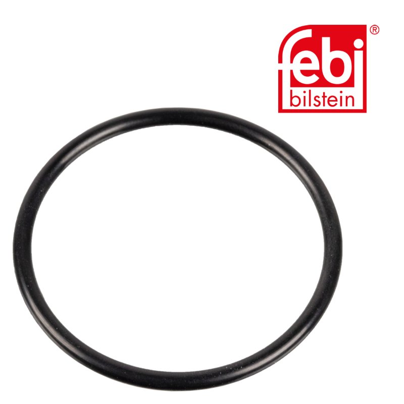 Sealing Ring for king pin