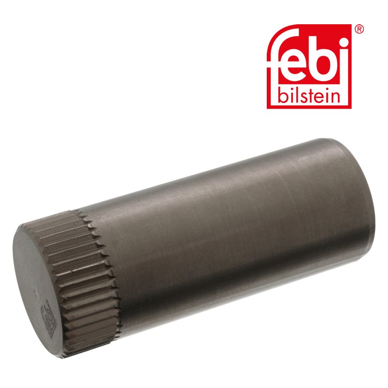 Brake Shoe Bolt