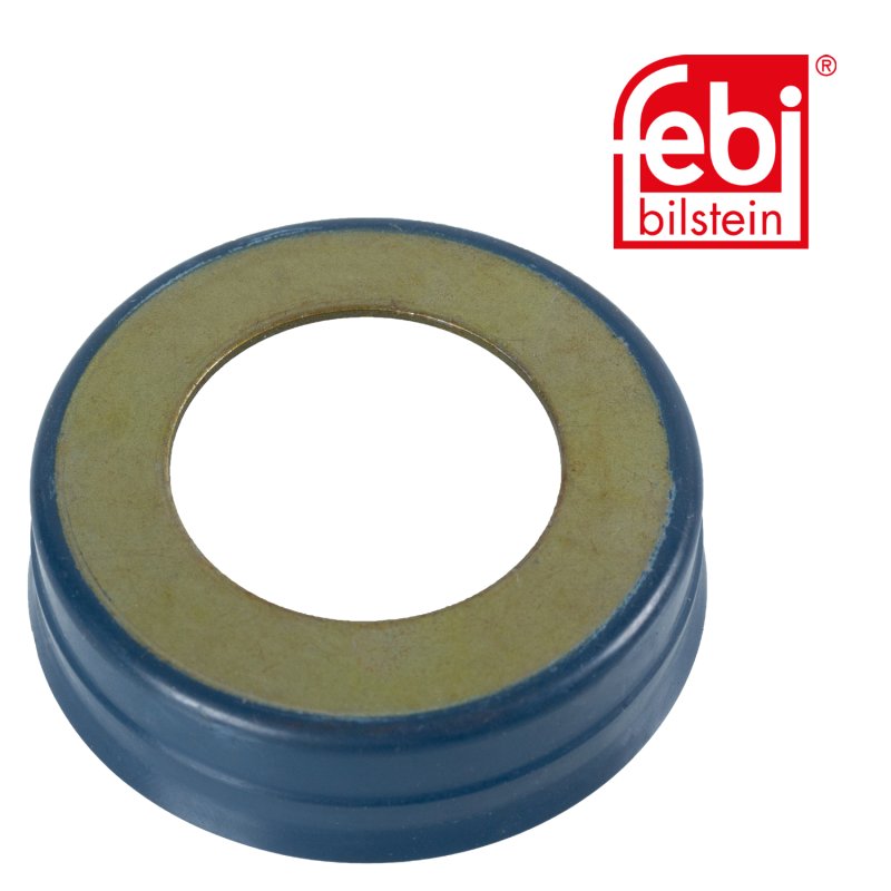 Sealing Ring for king pin