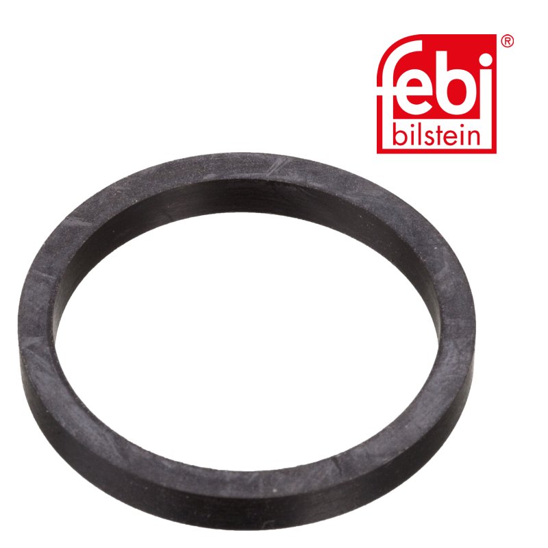 Sealing Ring for cooling water tube, at the cylinder head