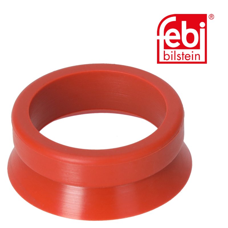 Dichtring für Einspritzdüse