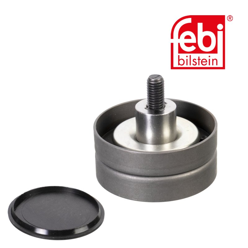 Idler Pulley for auxiliary belt, with bolt