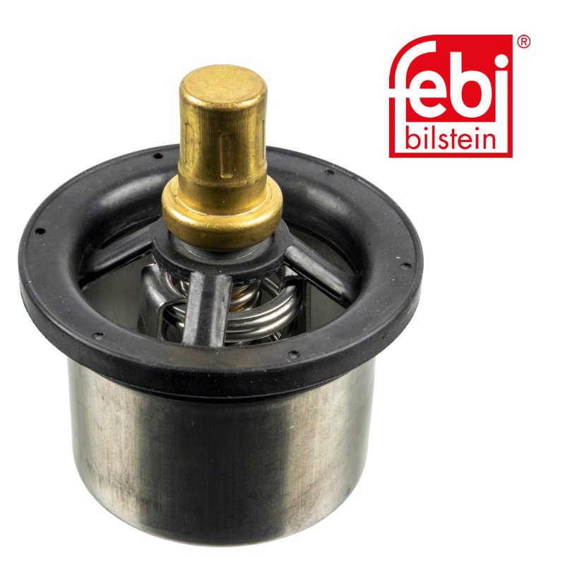 Thermostat mit Dichtring