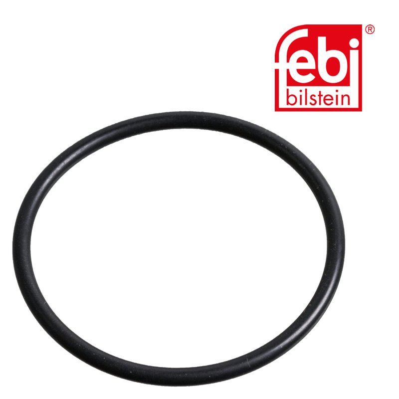 Sealing Ring for king pin