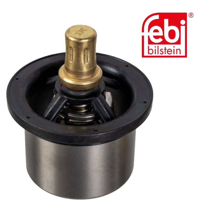 Thermostat mit Dichtring