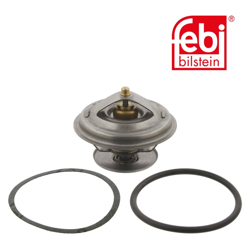 Thermostat mit Dichtring und Dichtung