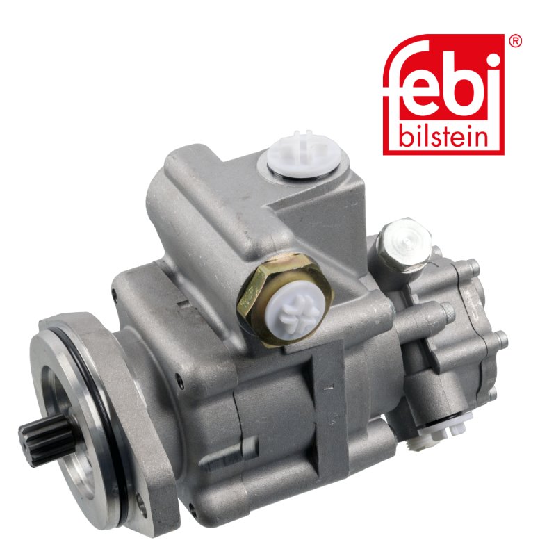 Tandem Pump for power steering and fuel system