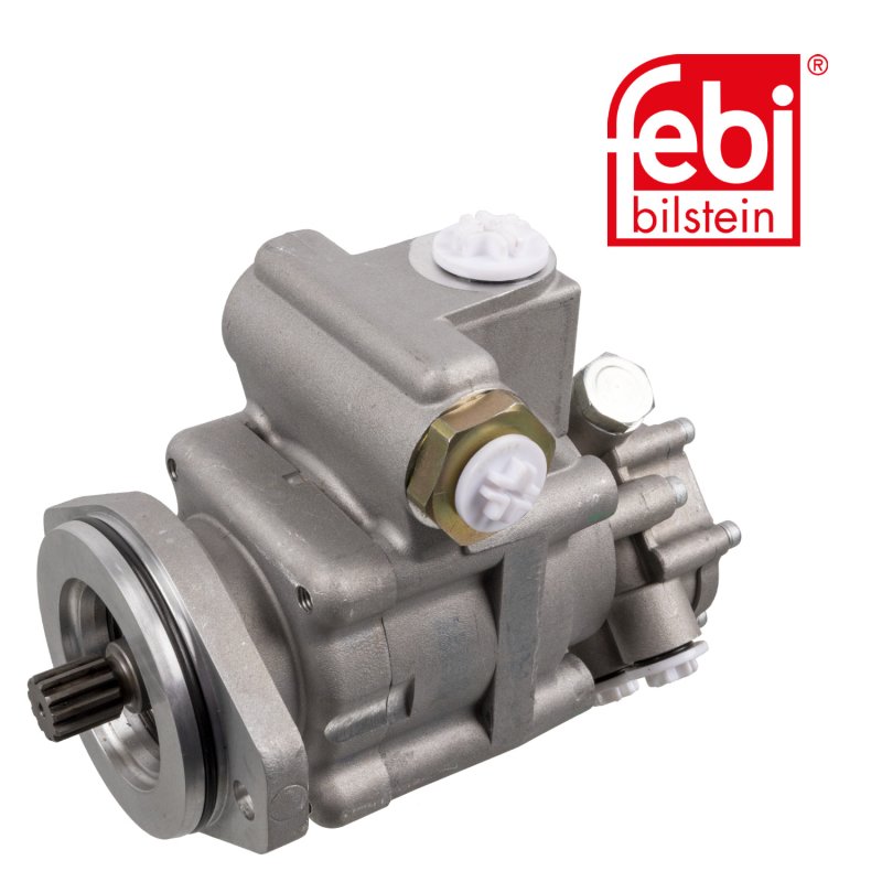Tandem Pump for power steering and fuel system