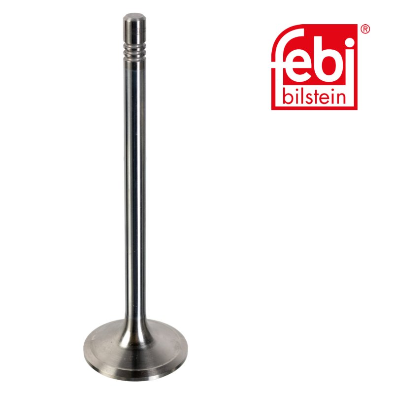 Inlet Valve