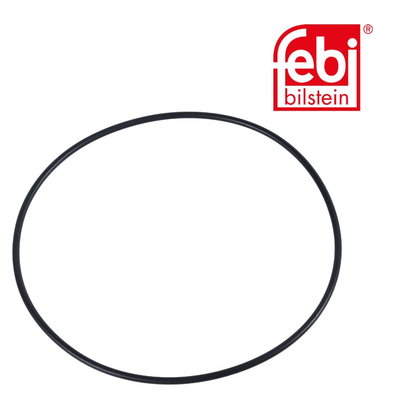 Sealing Ring for wheel hub