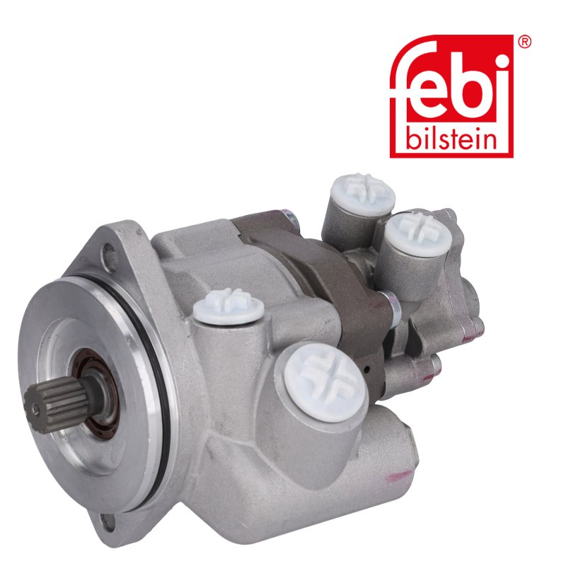 Tandem Pump for power steering and fuel system