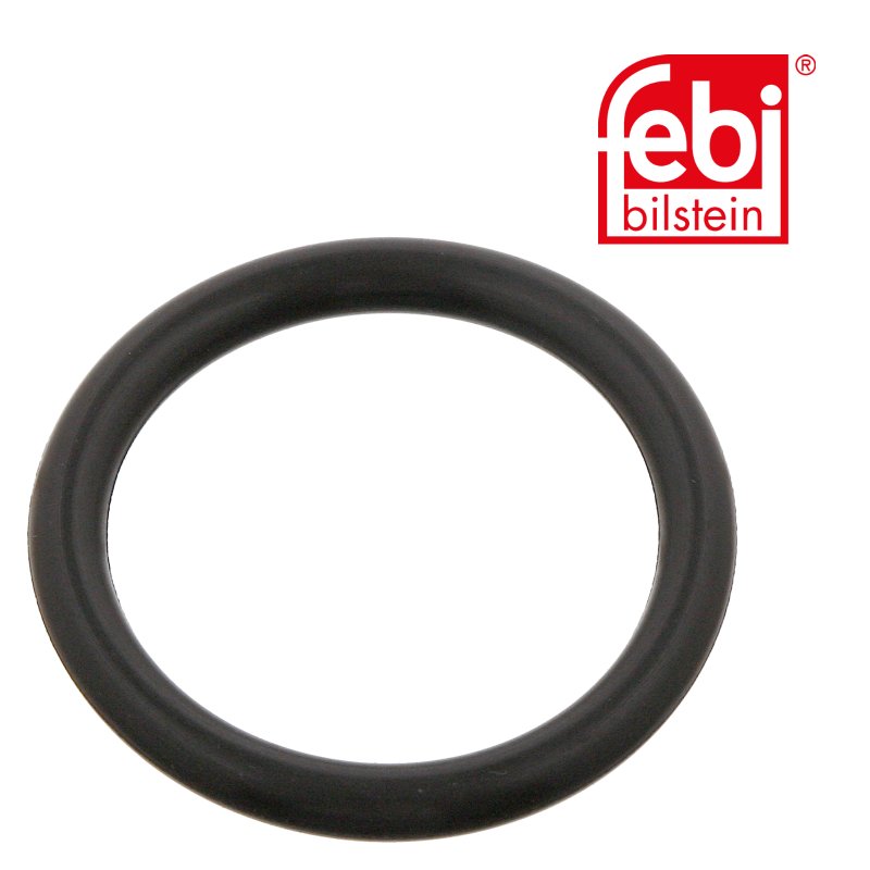 Sealing Ring for spring bush