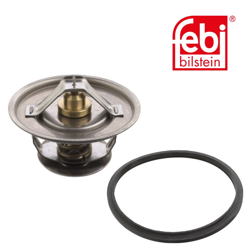 Thermostat mit Dichtung