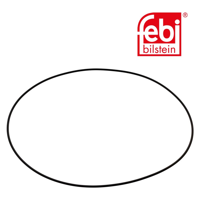 Dichtring für Radnabe