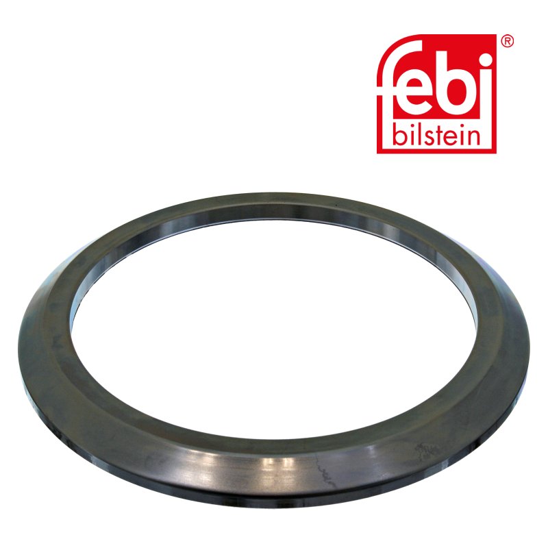 Shaft Seal for wheel hub