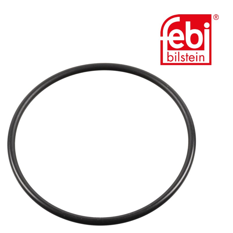 Sealing Ring for king pin