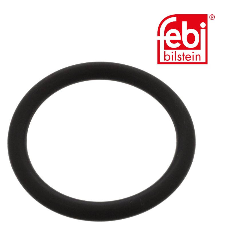 Sealing Ring for king pin