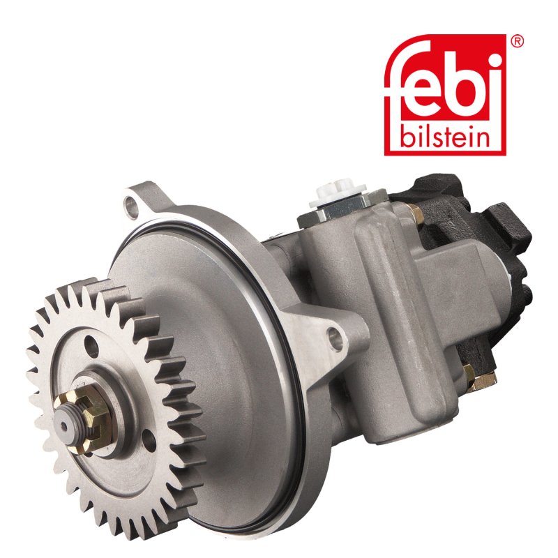 Tandem Pump for power steering and fuel system