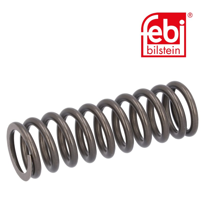 Valve Spring