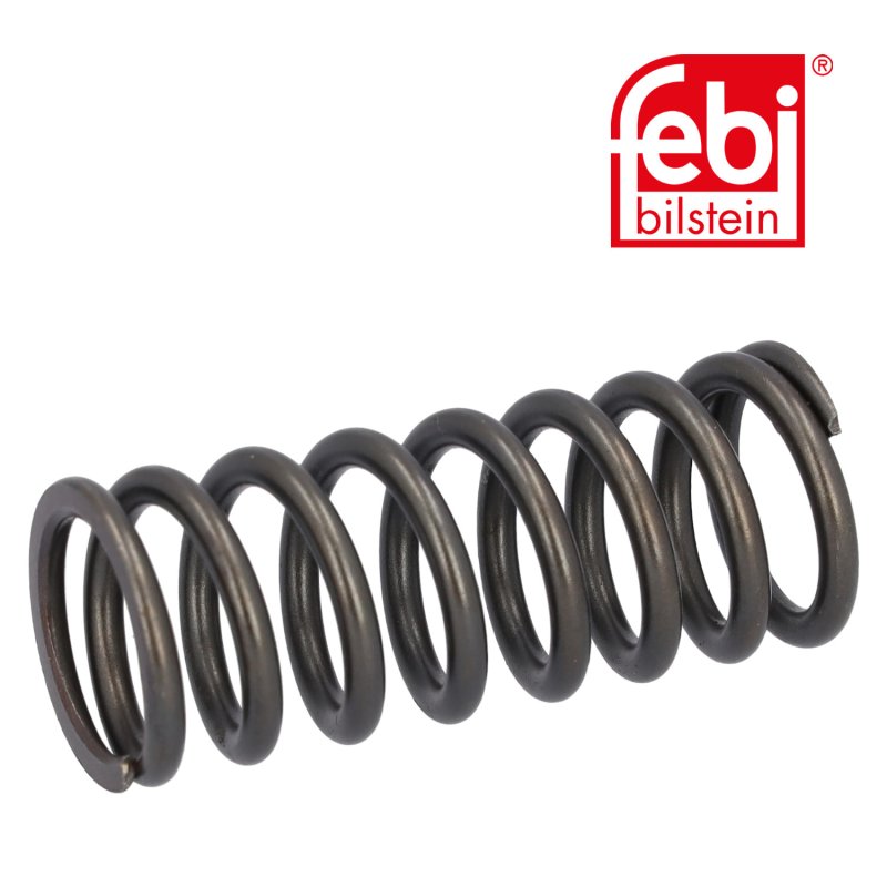 Valve Spring