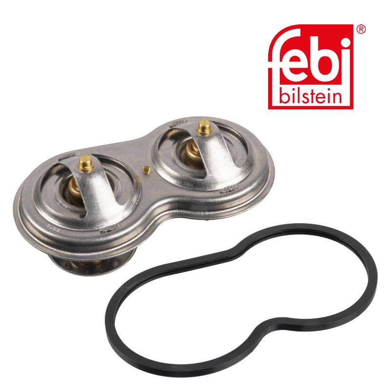Dual Thermostat with gasket