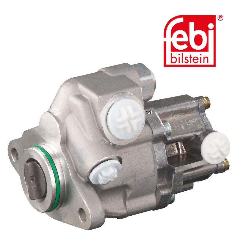 Tandem Pump for power steering and fuel system
