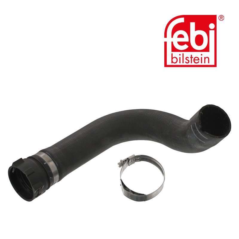 Coolant Hose with hose clamps