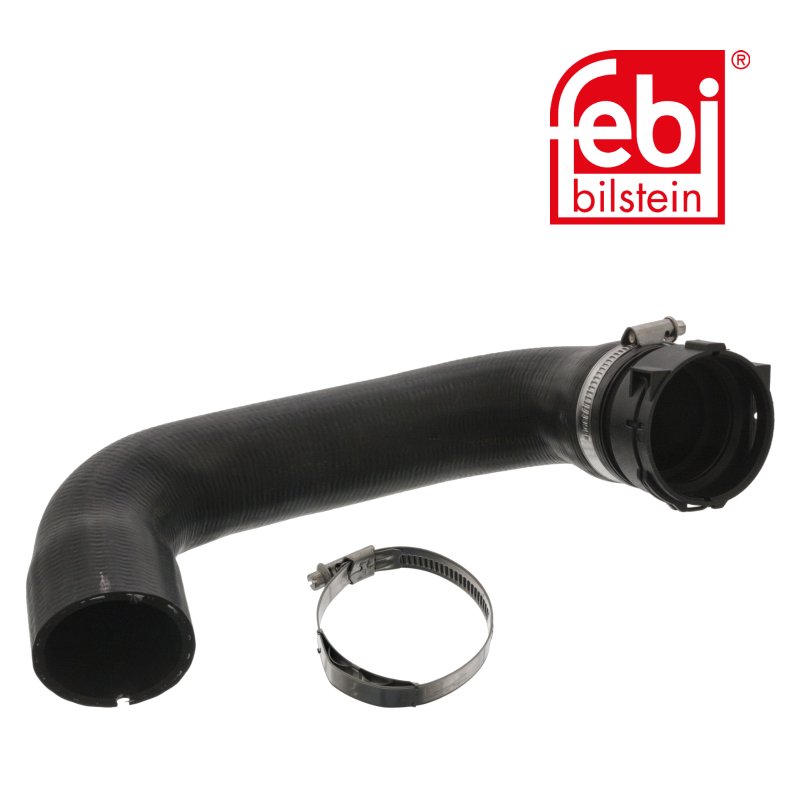 Coolant Hose with hose clamps