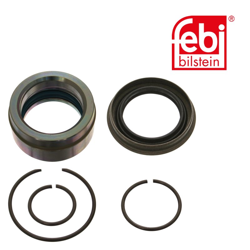 Rep. Satz Kippzylinder für Fahrerhaus