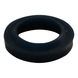 anneau PMS25
