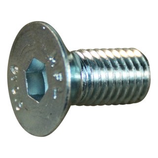 inbusbout met verzonken kop M12x1,75/25mm elvz.