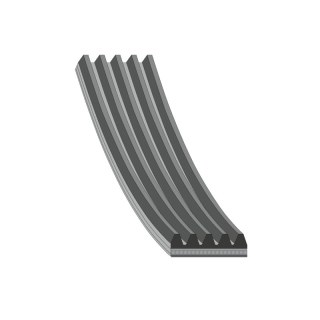 Cintura trapezoidale