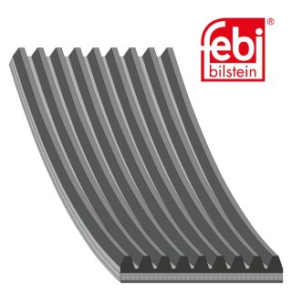 Cintura trapezoidale