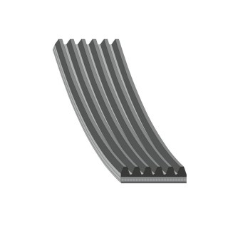 Cintura trapezoidale